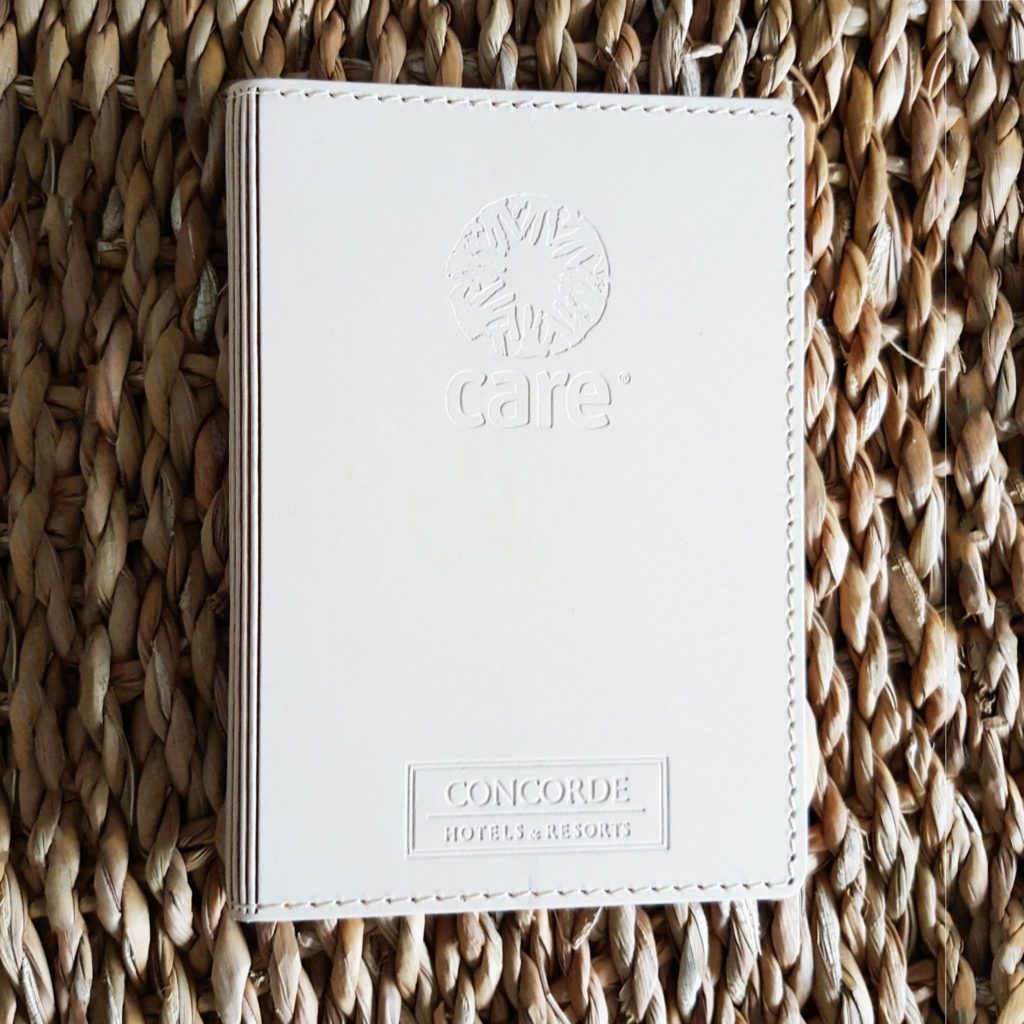 Made In France 9 Etui passeport en cuir copie